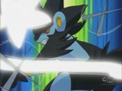 Luxray deflects the darts