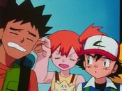 Misty pulls Brock's ear