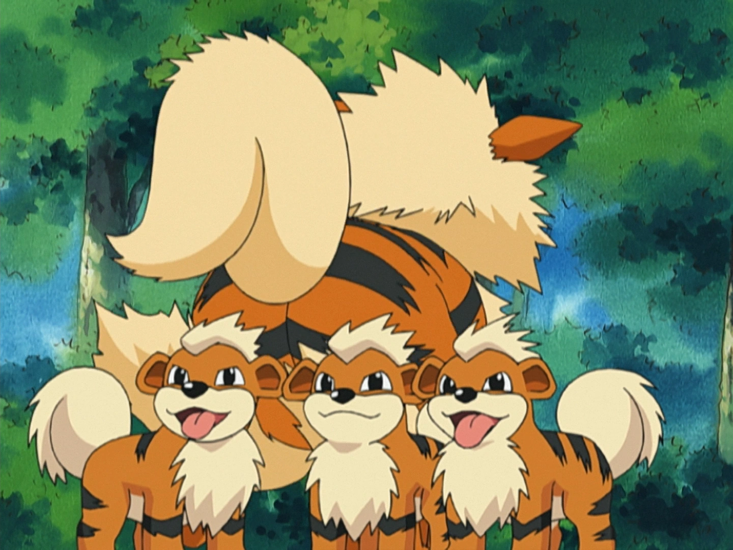 Growlithe visual data 8