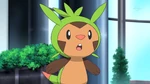Professor Sycamore gave Chespin to Mairin as her starter Pokémon and she nicknamed it Chespie.