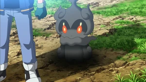 Marshadow in the anime.