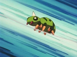 Officer Jenny's Spinarak.