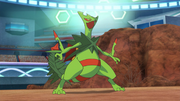 Sawyer Mega Sceptile