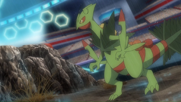 Sawyer S Sceptile Pokemon Wiki Fandom