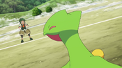Sawyer and Sceptile are happy that they defeated Ash and Greninja for the first time