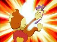 Aipom uses Focus Punch on Chimchar