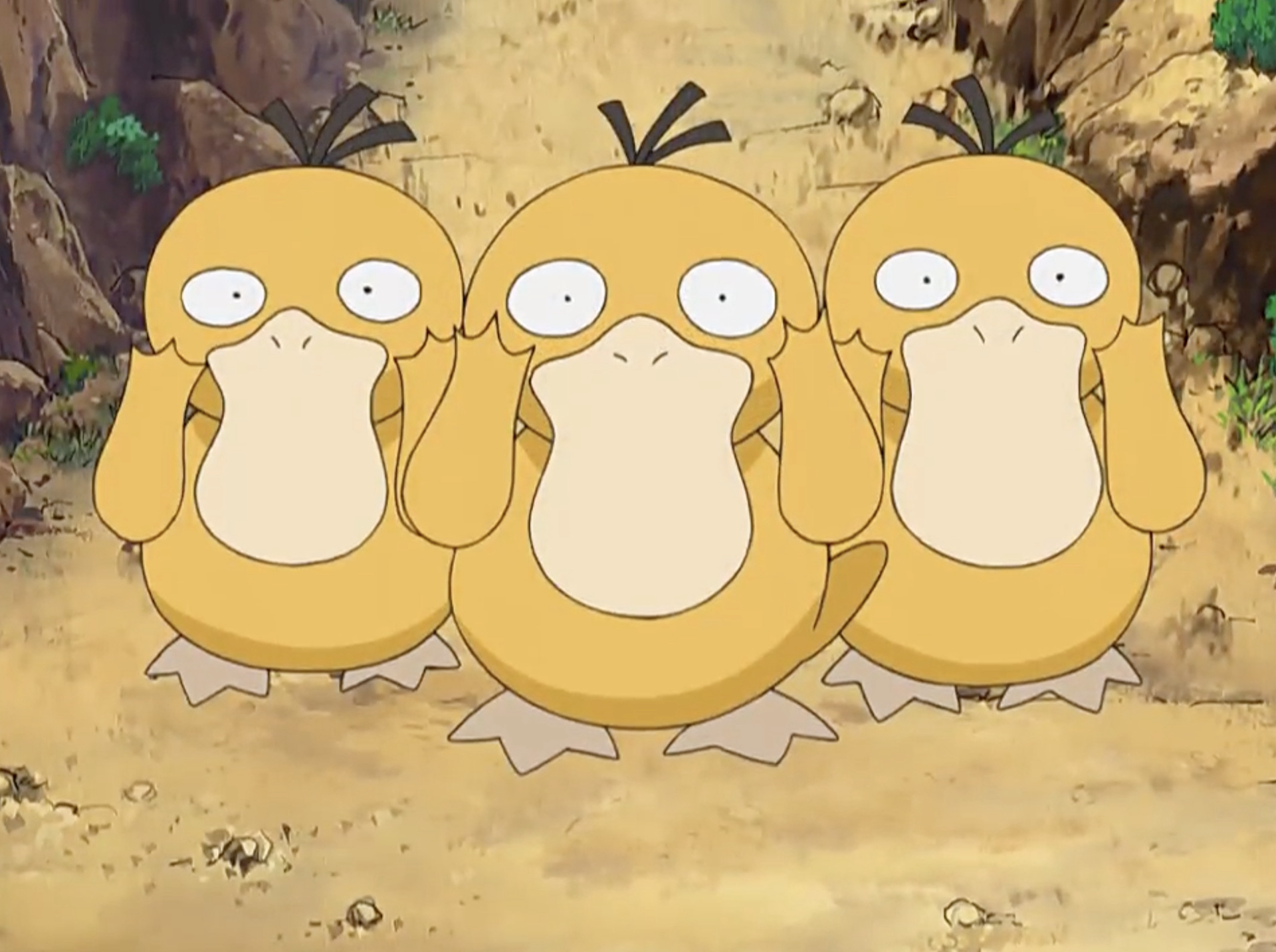who is psyduck looking for in pokepark 2