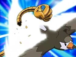 Cheers On Castaways Isle Pokemon Wiki Fandom