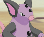 Grumpig is Kelly's signature Pokémon, who was used during the Lilycove City's Pokémon Contest.