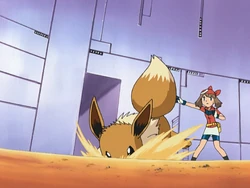 Dig being used by May's Eevee.