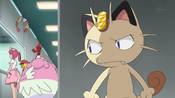 Meowth listens to what Ash and Nurse Joy are talking