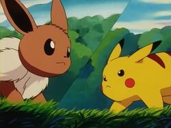 Pikachu vs. Eevee!, Pokémon: Adventures in the Orange Islands