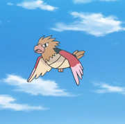 Goh Spearow