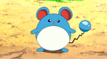 Marill first appeared in An Egg Scramble! and is seen by her side most of the time.