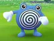 Polimorv