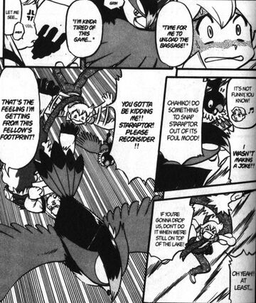 D P025 Dramatic Drapion Crafty Kricketune I Pokemon Wiki Fandom D P025 Dramatic Drapion Crafty Kricketune I Pokemon Wiki Fandom