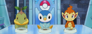 De Sinnoh Starters in de Anime (DP)