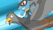 Riolu attaches itself to Unfezant