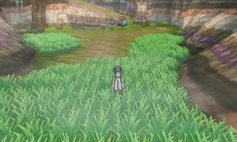 Poni Meadow