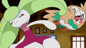 Steenee accidentally bashes Rowlet away