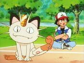 Ash cannot remember Meowth's attacks