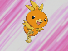 May Torchic