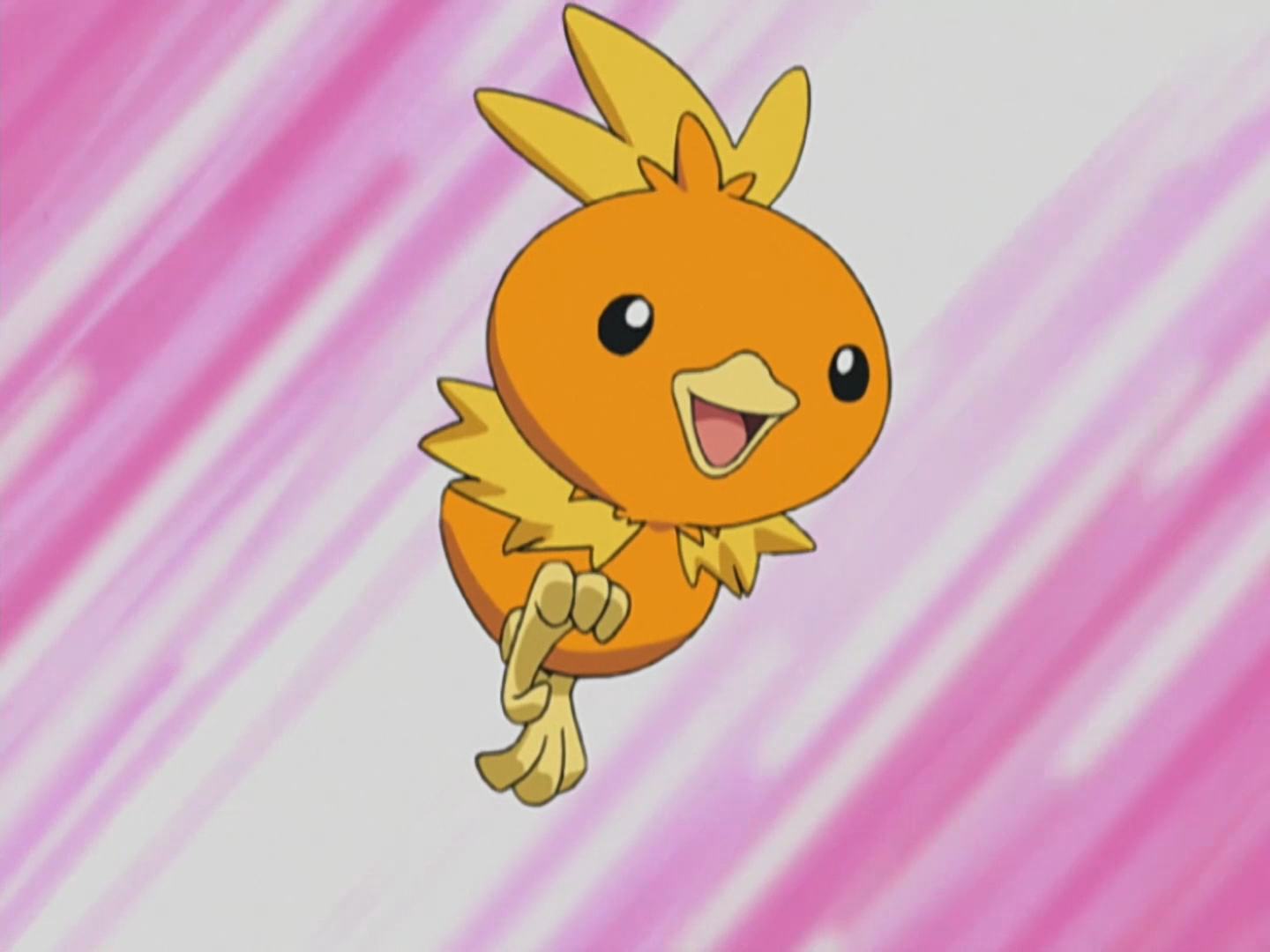 Torchic, Victory Road Wiki