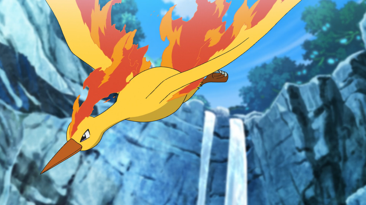 moltres  The Anime Madhouse