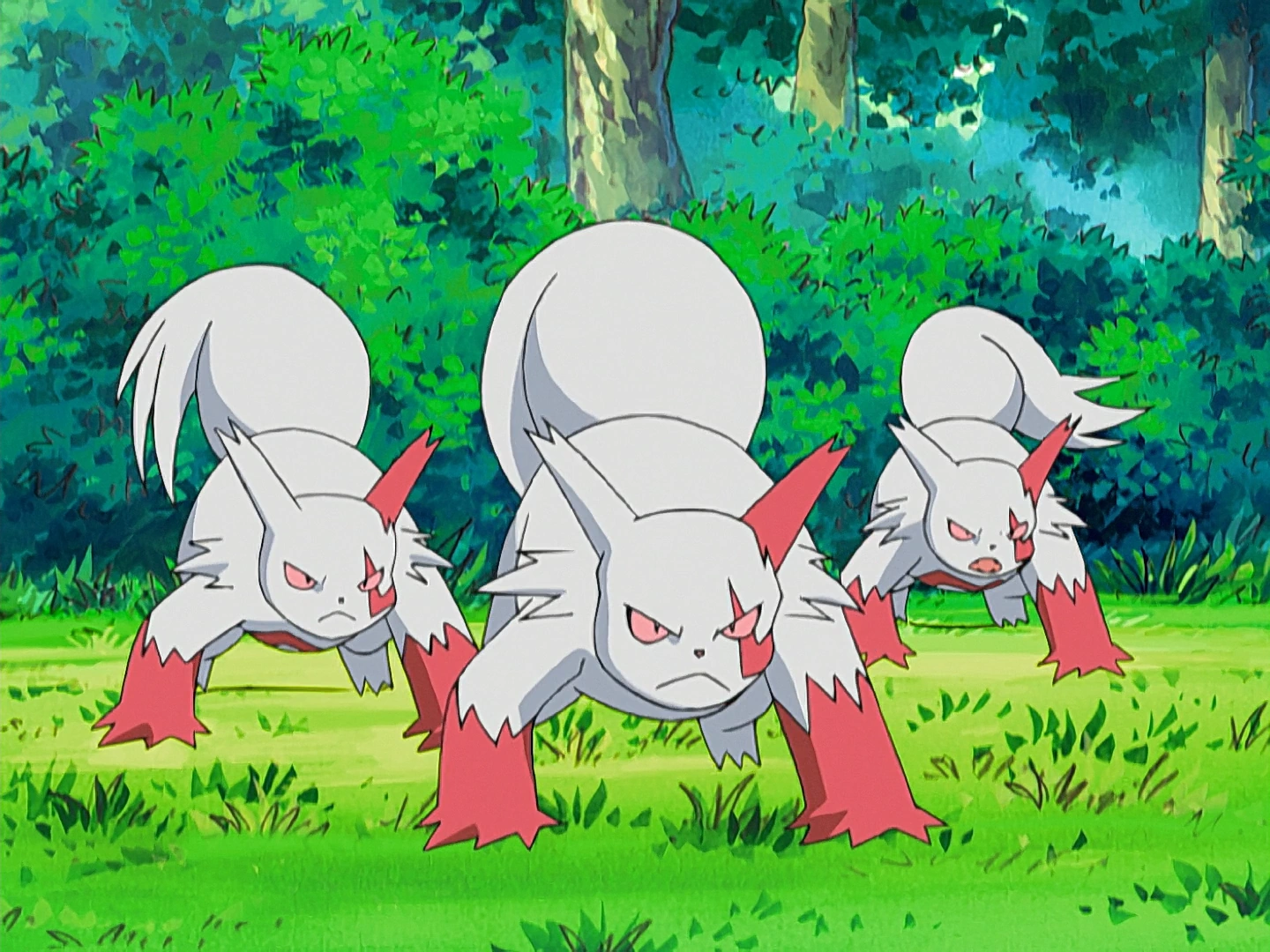 Zangoose (DP053) Pokémon Wiki Fandom