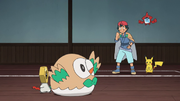 Ash Meltan & Rowlet in Battle