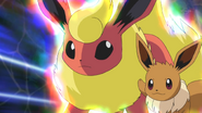 Helping Hand being used by Virgil's Eevee.