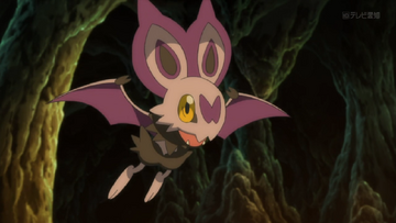 Electrike, noivern, noibat, Ash Ketchum, Pokémon X and Y, pokedex, Bat,  Evolution, demon, Pokémon