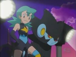 Luxray Vision!, Pokémon Wiki