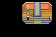 In Ruby & Sapphire, the player can trade a Pikachu with Darrell for a Skitty nicknamed "Skitit".