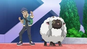 Hop's Wooloo.