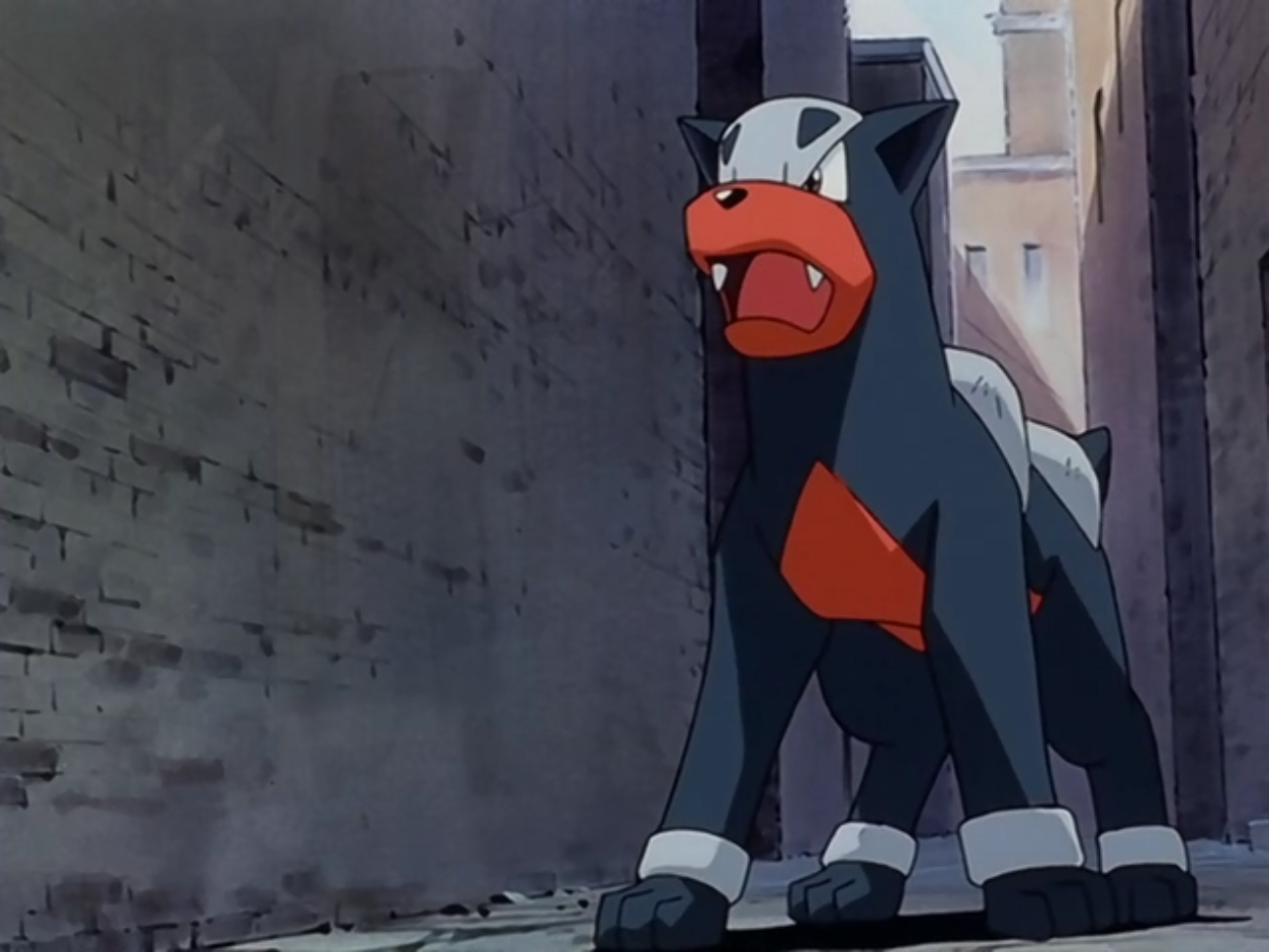 Houndour Anime Pokemon Wiki Fandom