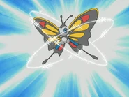 Hidden Power being used by Janet's Beautifly.
