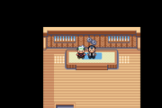 The player standing next to his father, Norman, in the last room of the Petalburg City Gym, in 