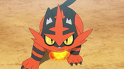 Torracat absorbing the power from Blast Burn