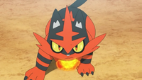 Blast Torracat.png