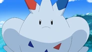 Togekiss angry after she protected Piplup from Gible's imperfected Draco Meteor