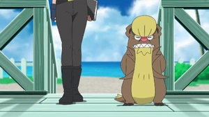 Officer Jenny's Gumshoos.