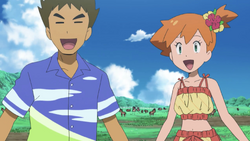 Brock e Misty visitarão Alola no anime de Pokémon - Nintendo Blast