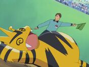 Electabuzz fainted