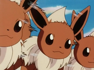 Using Double Team as Eevee