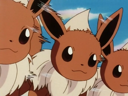 Gerald's Umbreon, Your Guide to Eevee and its evolutions Wiki