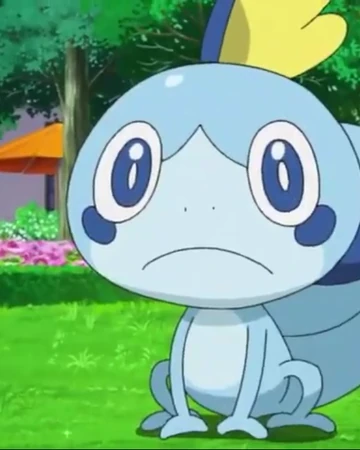 Goh S Sobble Pokemon Wiki Fandom