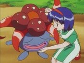 List of Pokémon Episodes (Seasons 14-22) - Wikipedia, PDF, Series Of  Children's Books