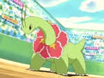 Jackson got Meganium as a starter when it was a Chikorita when he set out on his journey. In its first appearance, it has already evolved into Meganium. While Jackson battles with Ash, it was used against Ash's Bulbasaur. After a long battle, it ended in a draw.