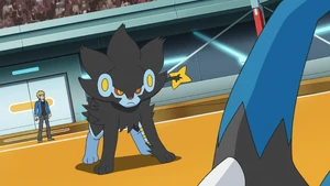 Volkner's Luxray.